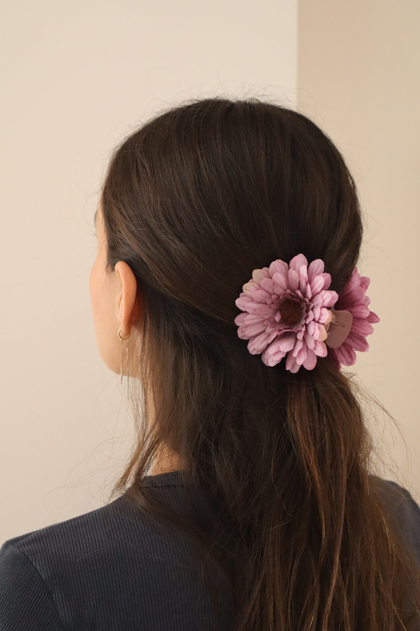 Gerbera lila