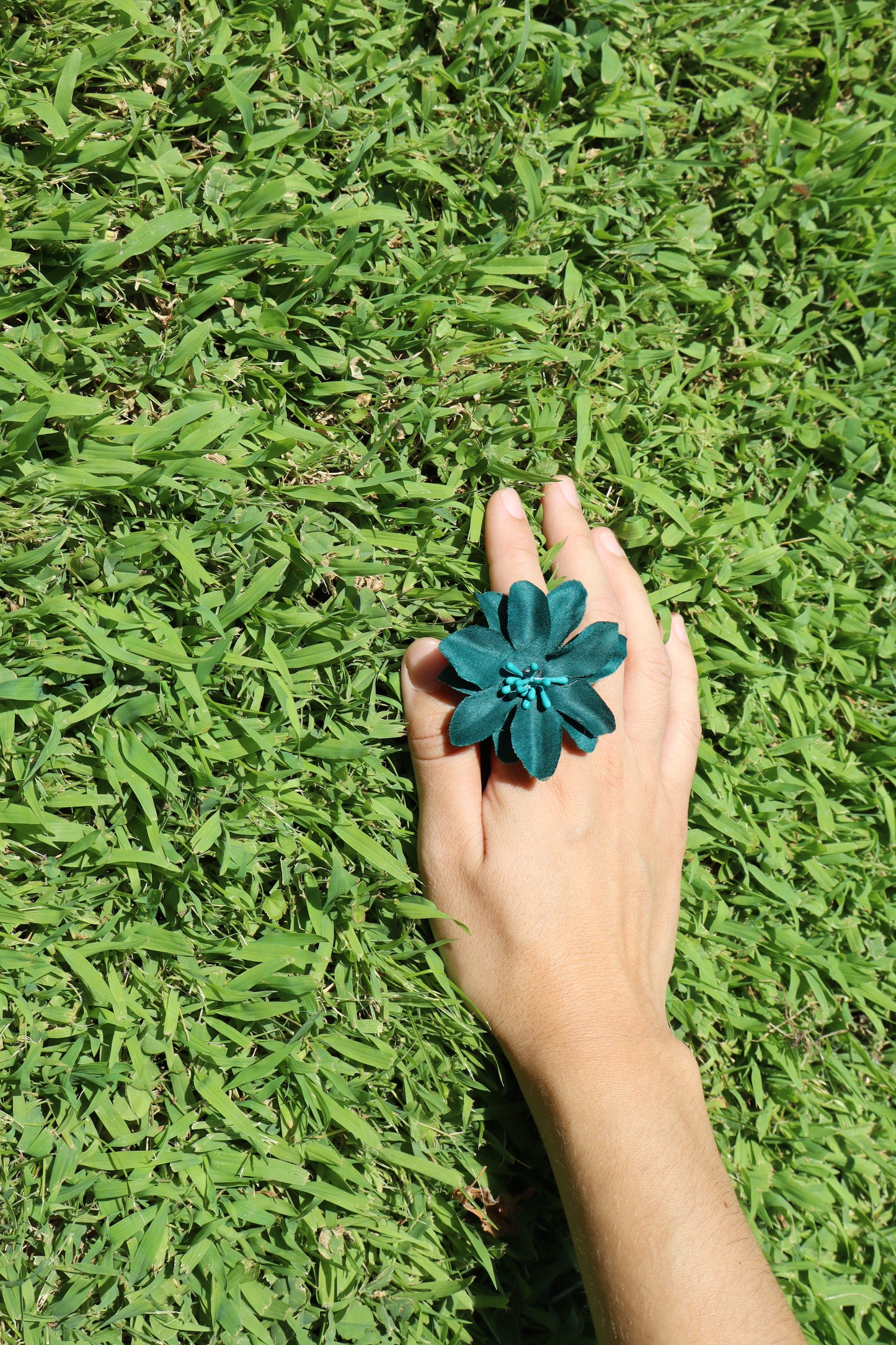 Hibiscus Verde