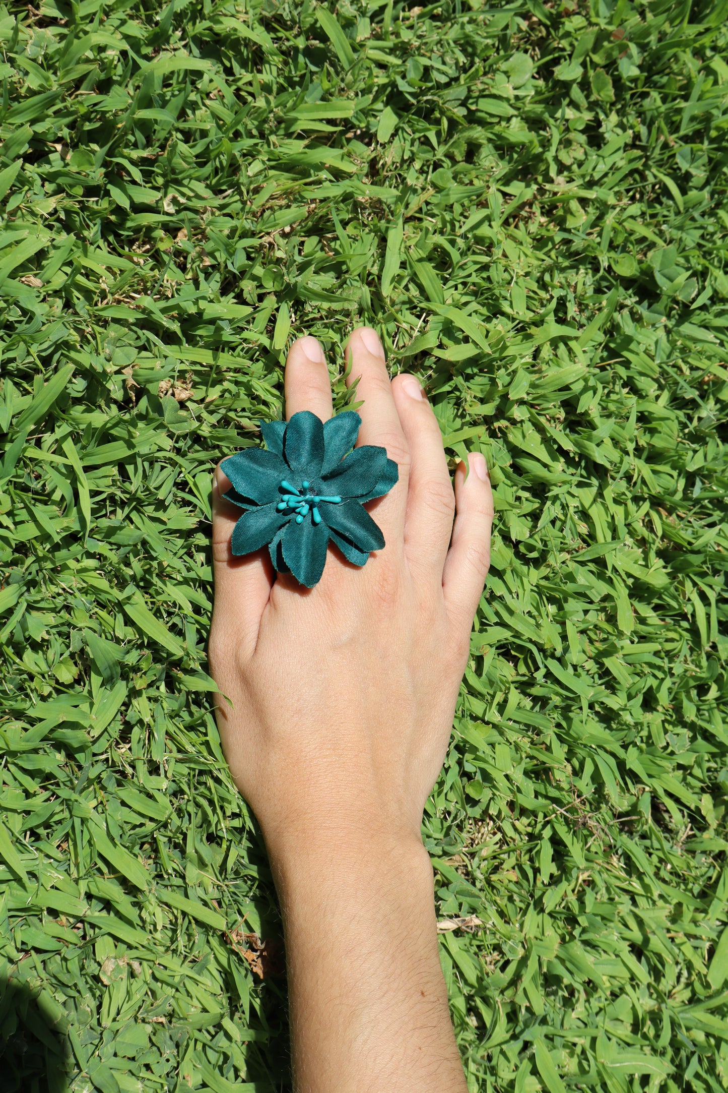 Hibiscus Verde