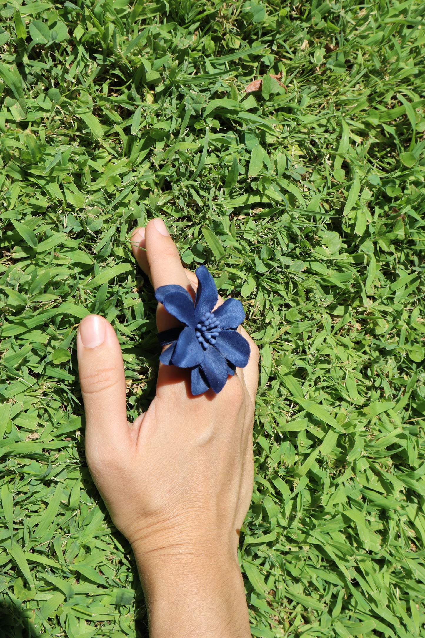Hibiscus Azul Marino