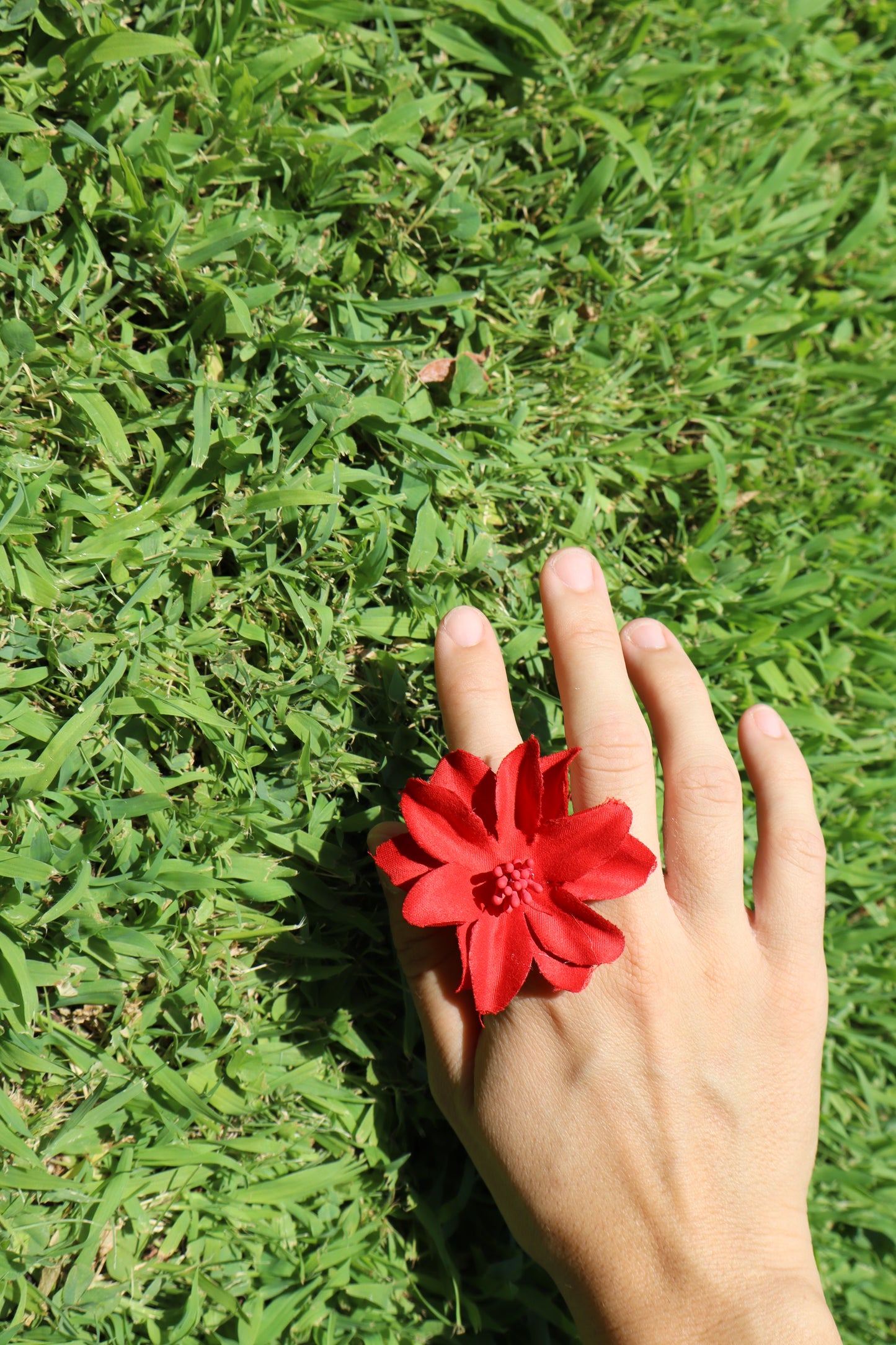 Hibiscus Rojo