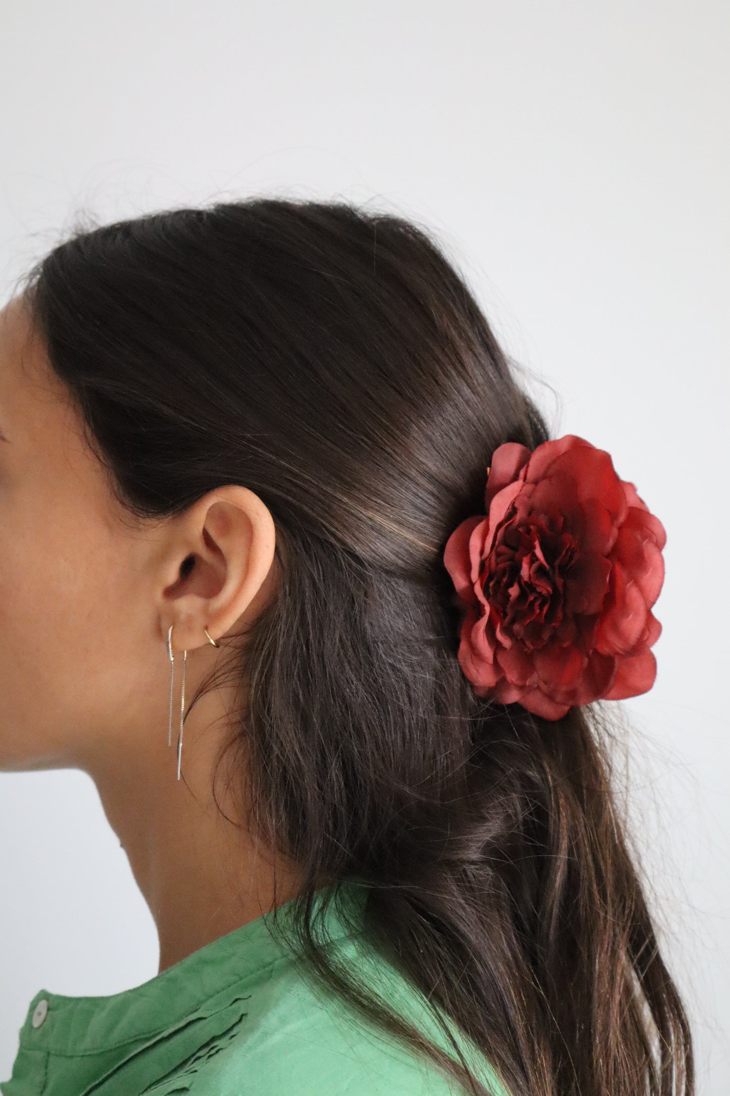 Camelia burdeos
