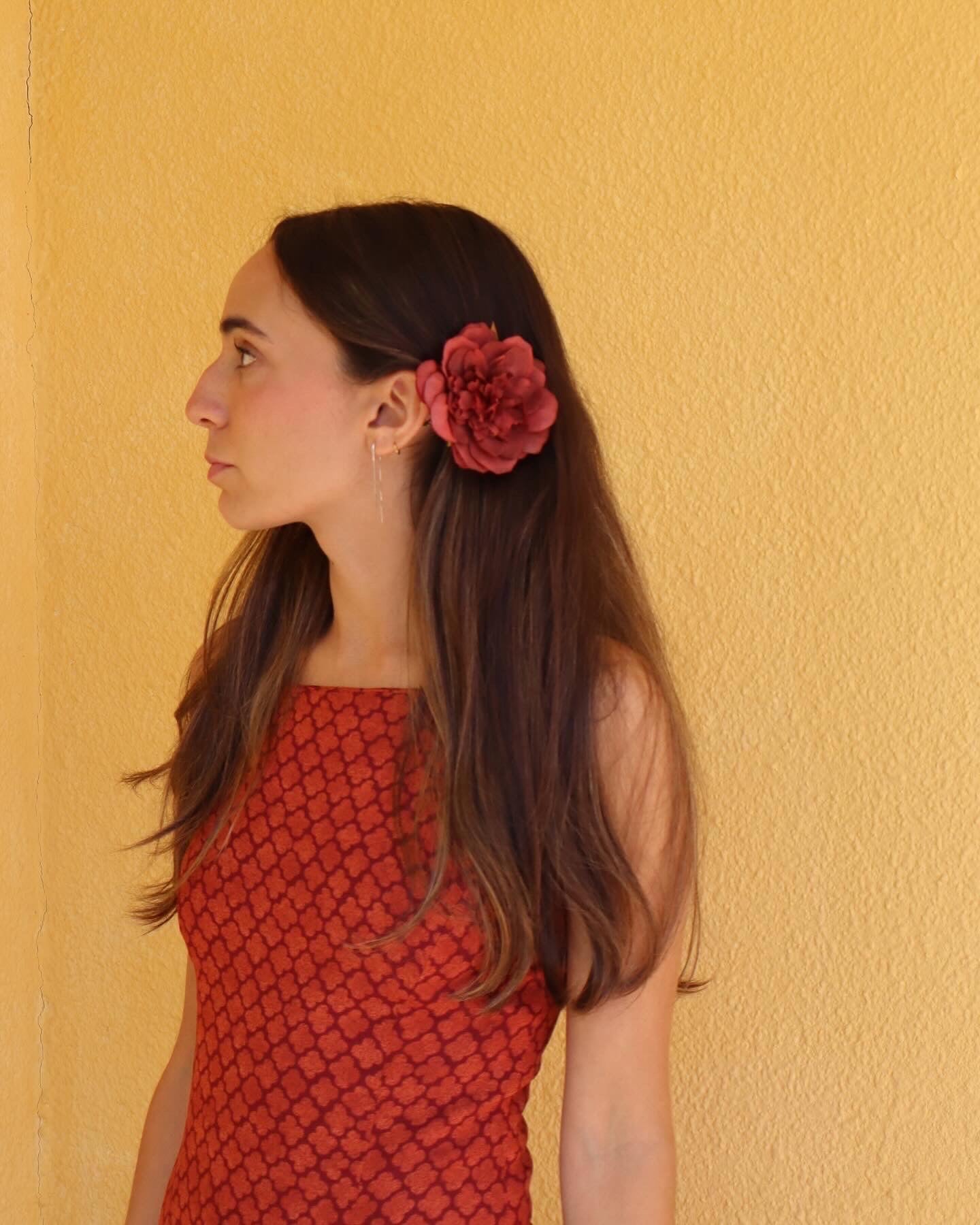 Camelia burdeos