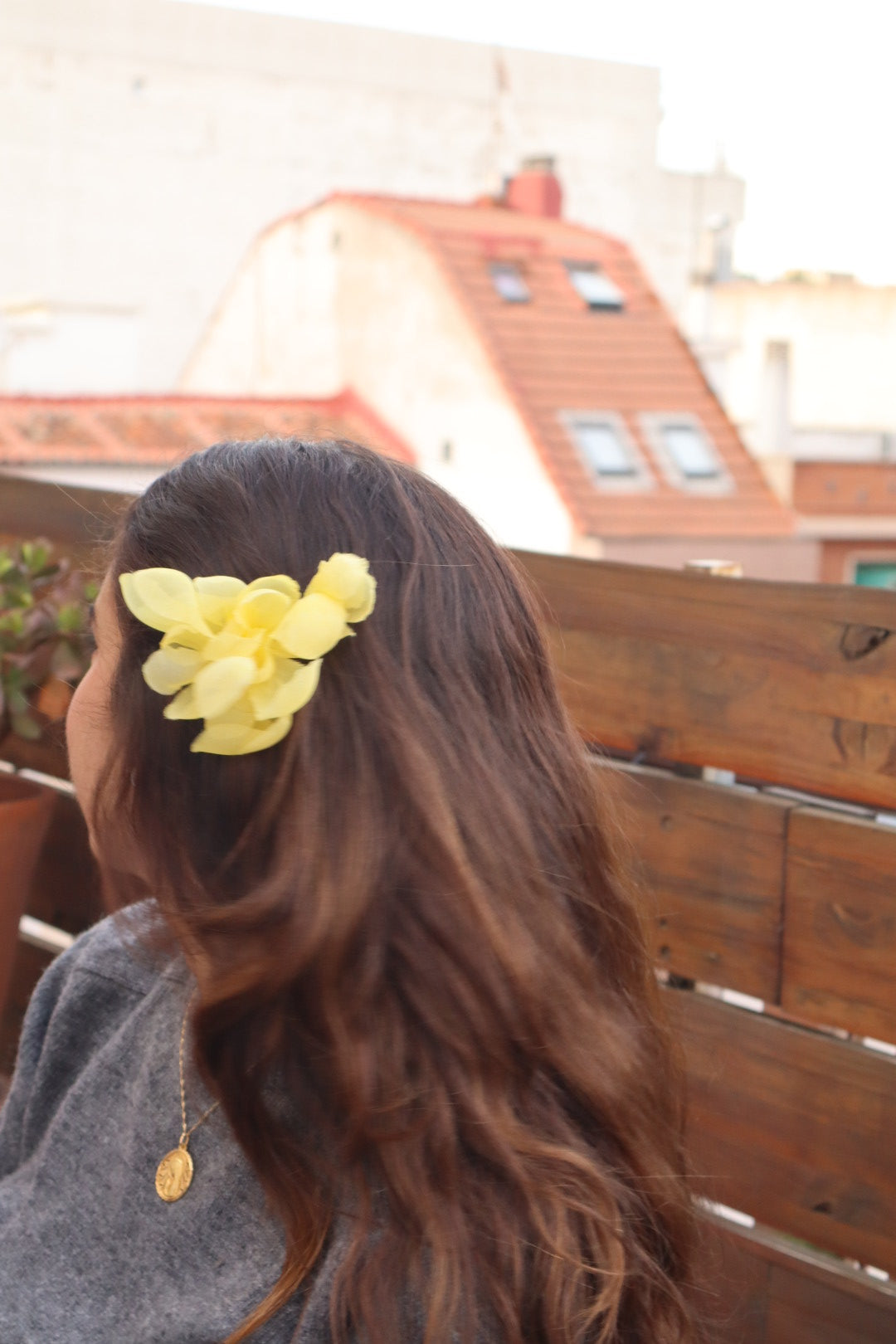 Pétalos Amarillo