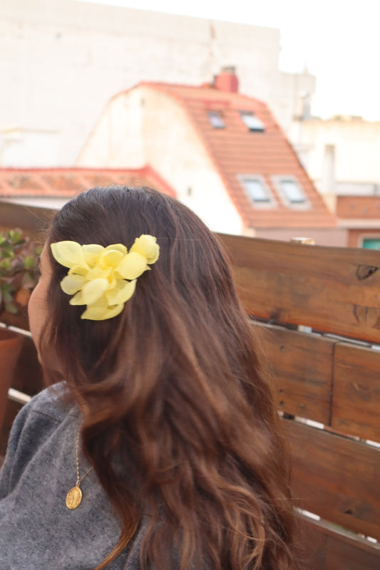 Pétalos Amarillo