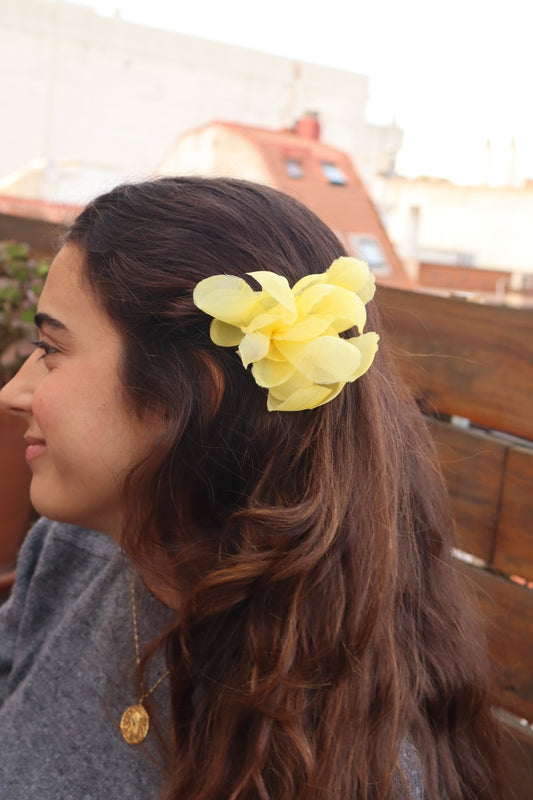 Pétalos Amarillo