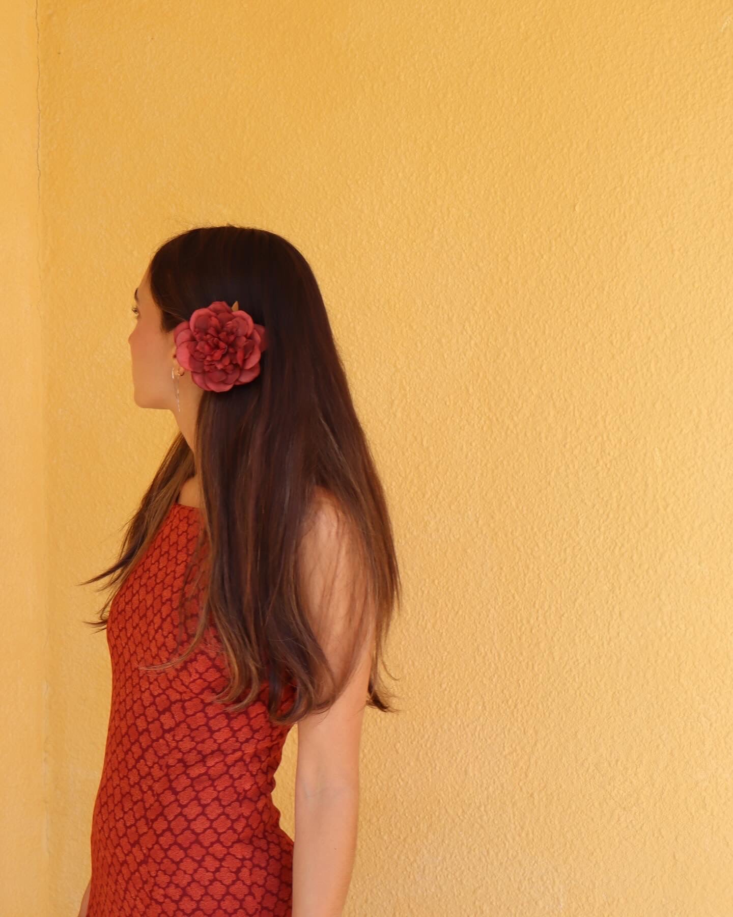 Camelia burdeos