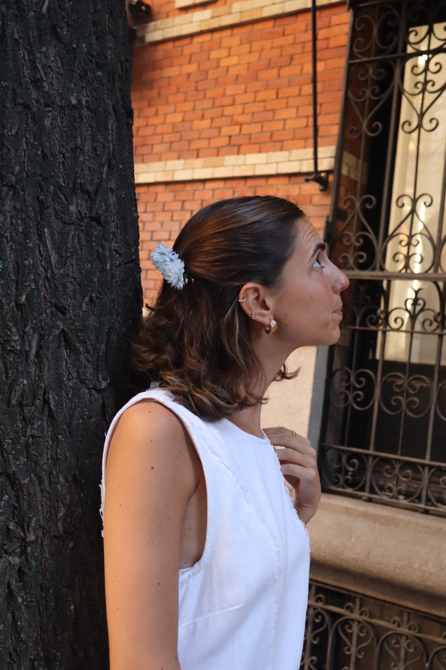 Tres Dalias Azul Cielo