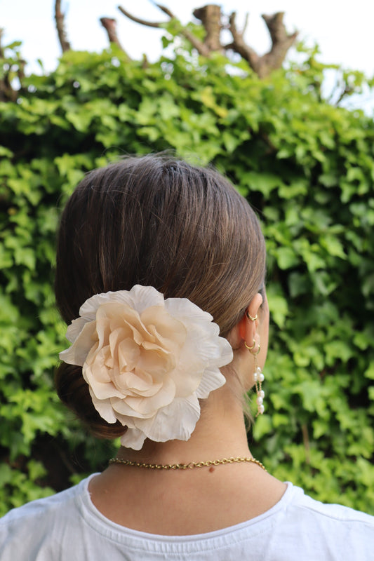 Iris crema