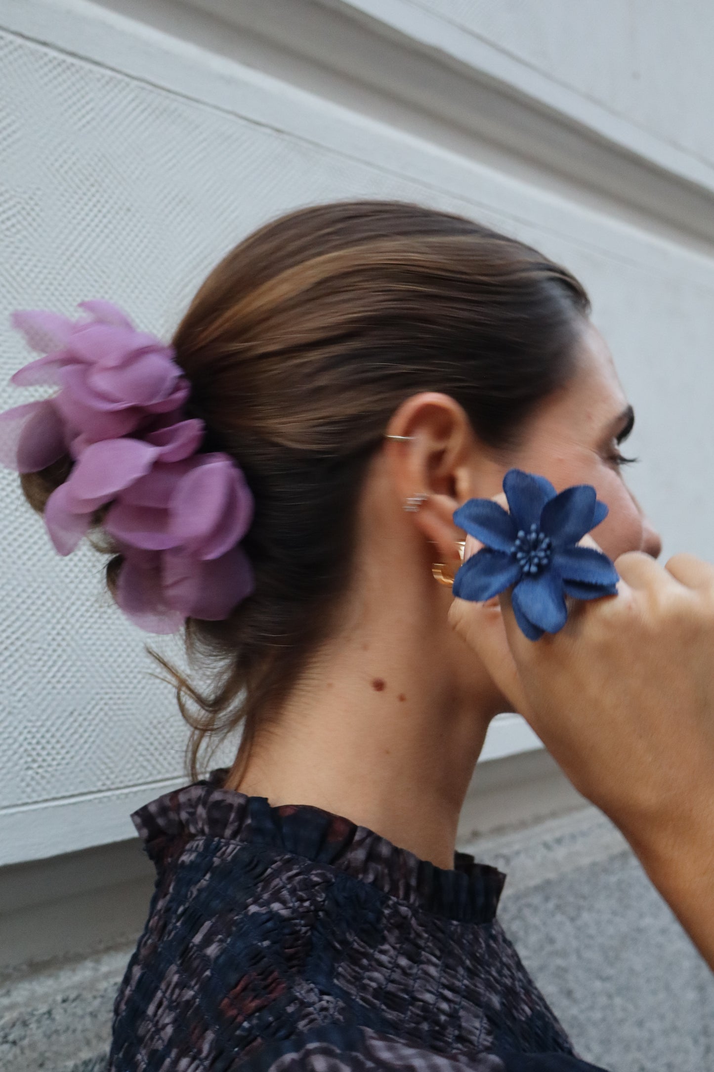 Hibiscus Azul Marino