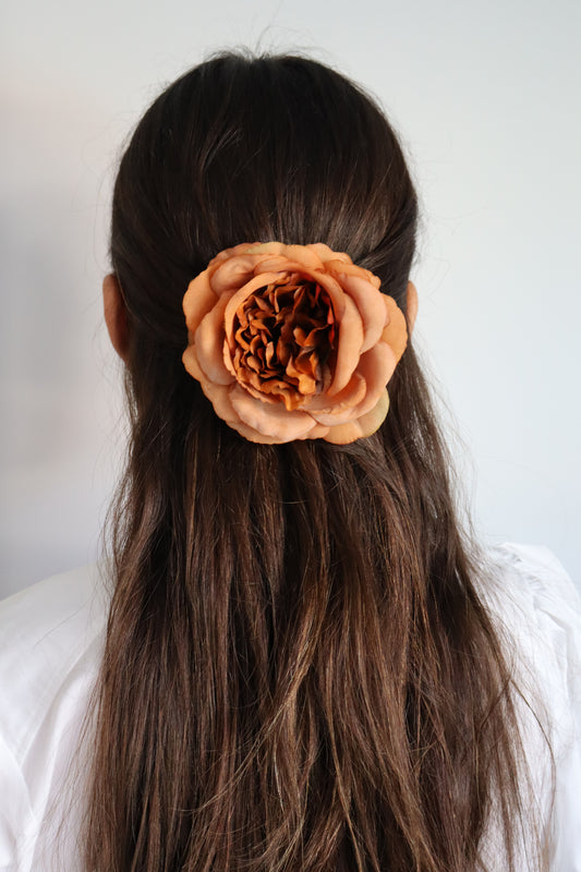 Rosa Tostado