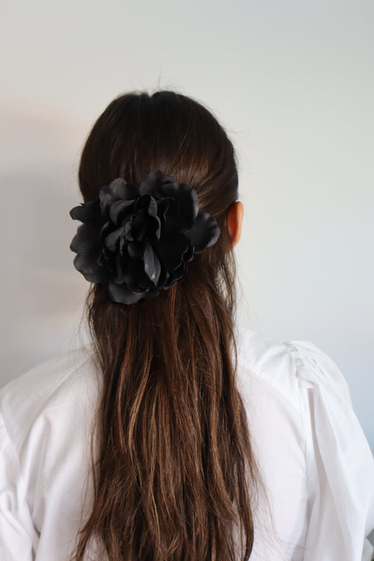 Iris negro