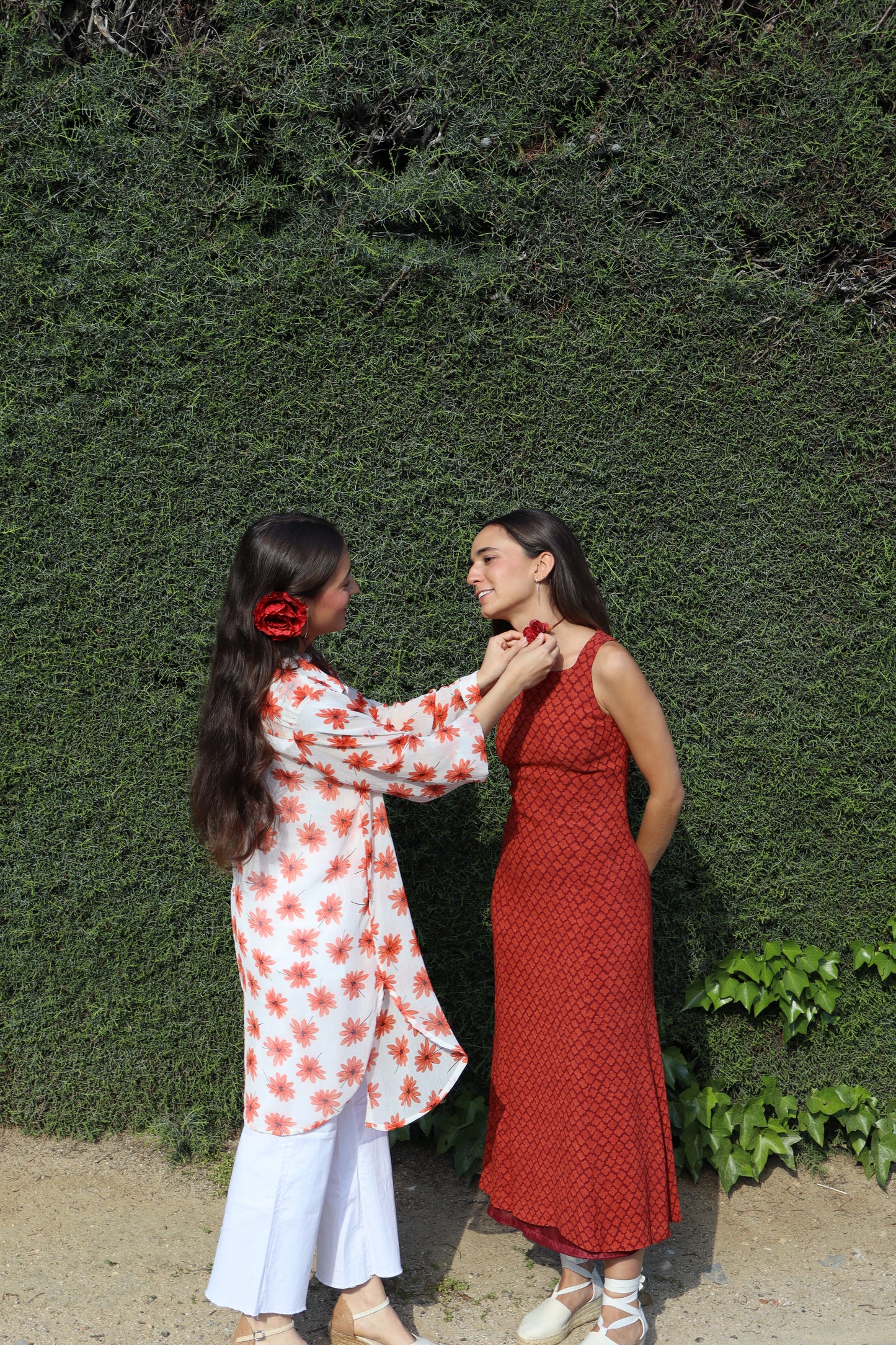 Rosa roja