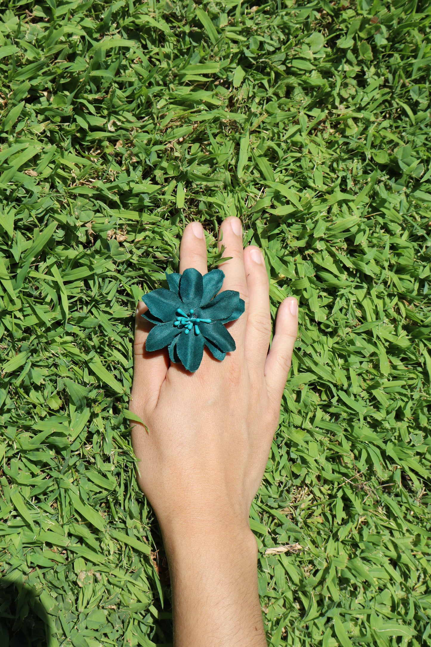 Hibiscus Verde
