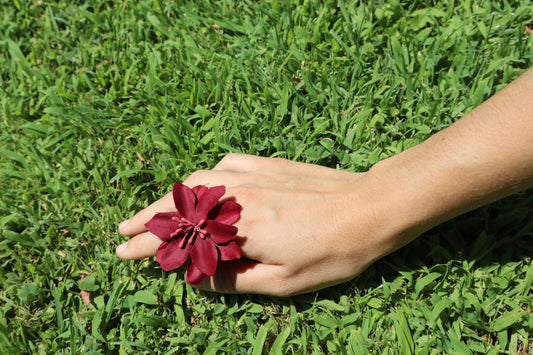Hibiscus Burdeos