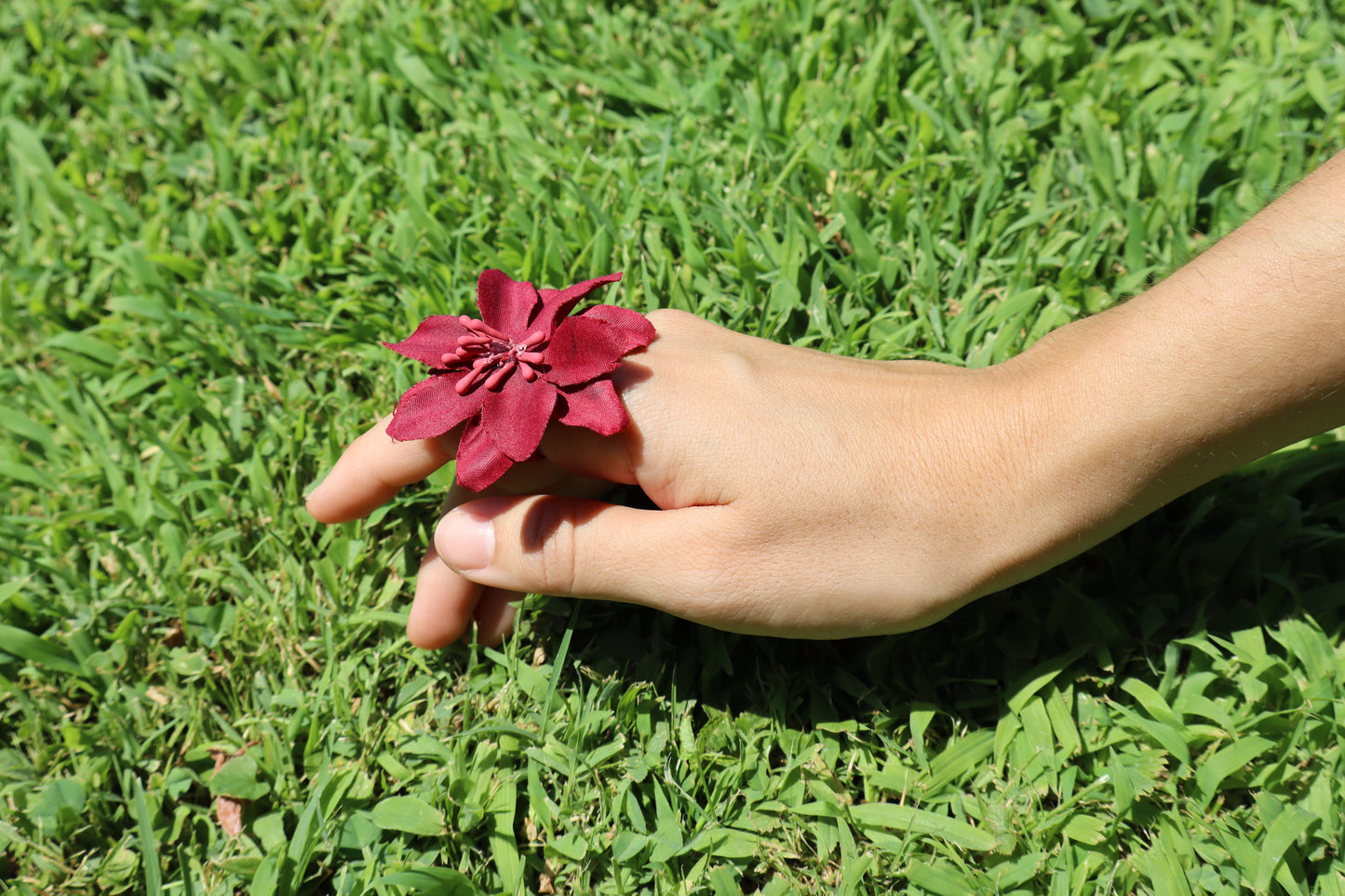 Hibiscus Burdeos