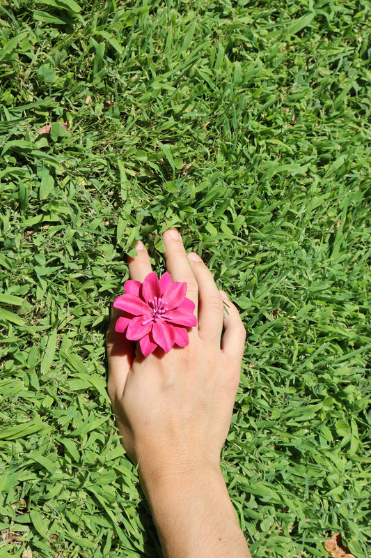 Hibiscus Rosa