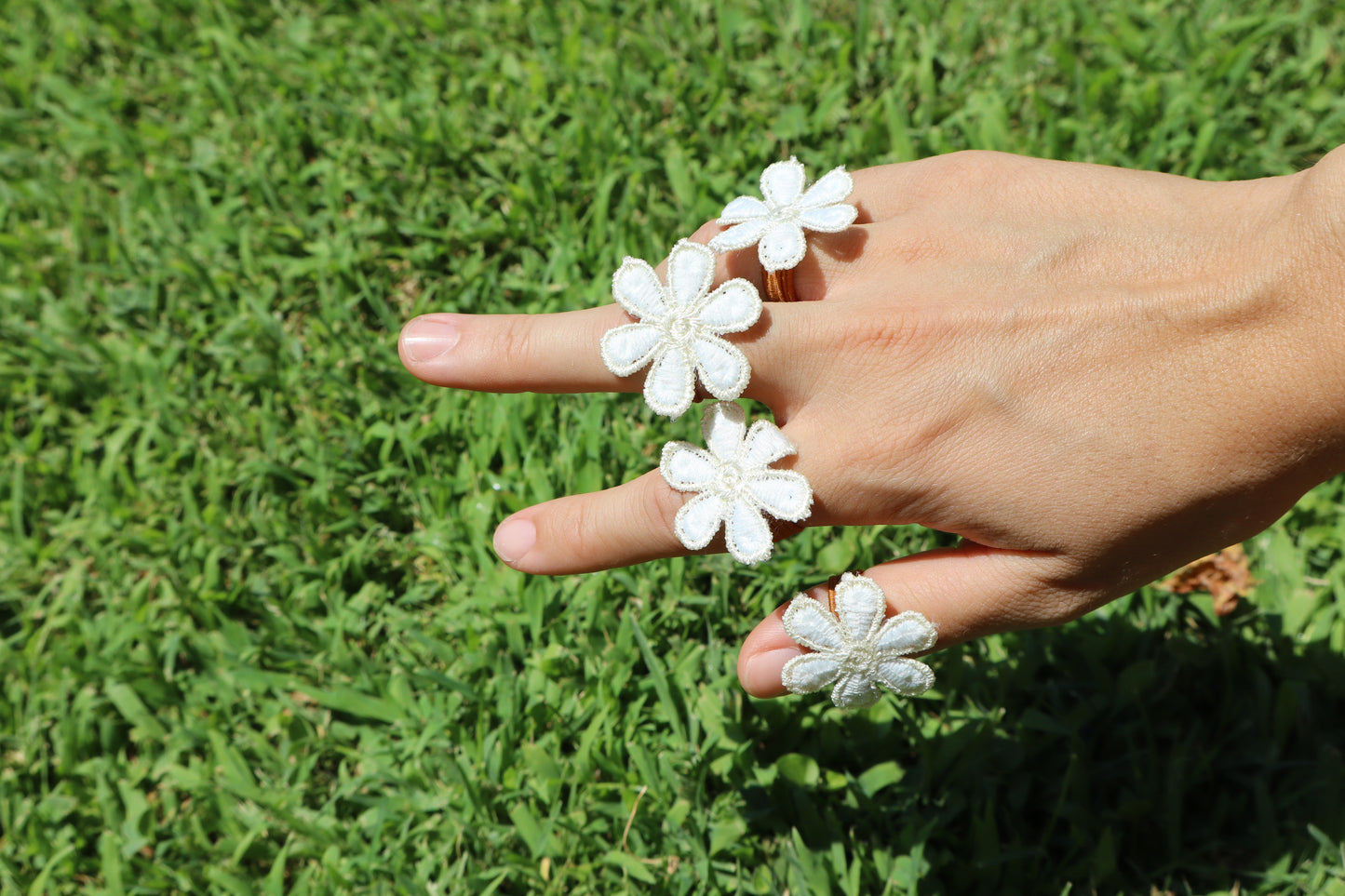 Margarita Blanca