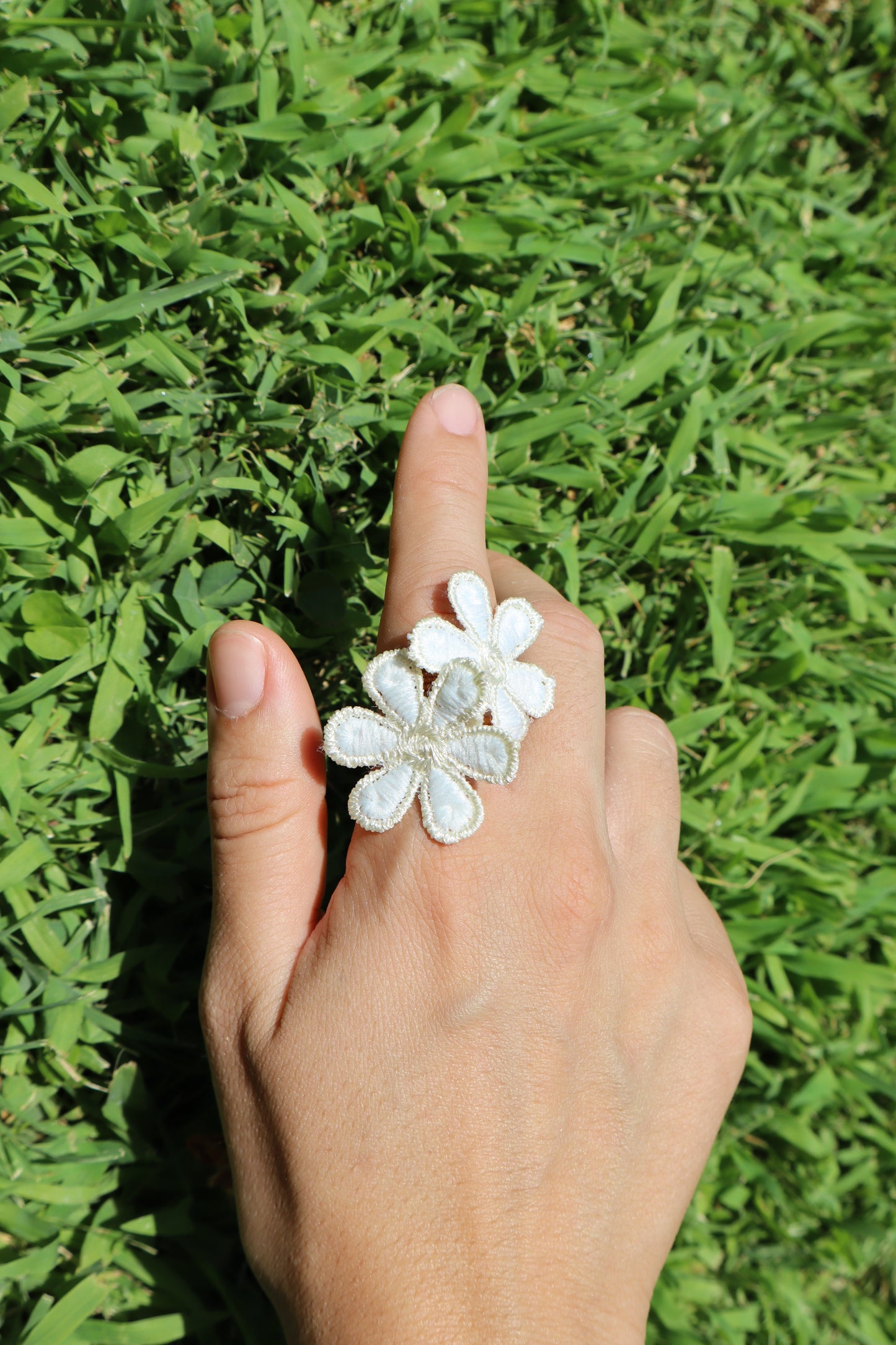 Margarita Blanca