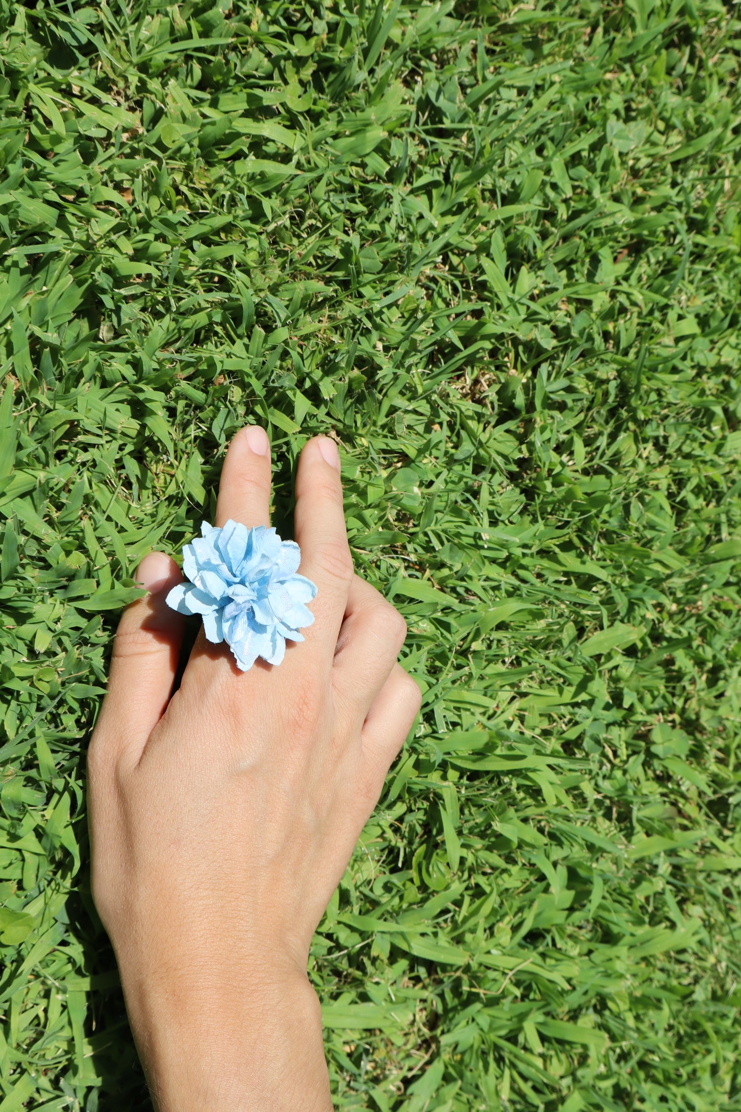 Hortensia azul